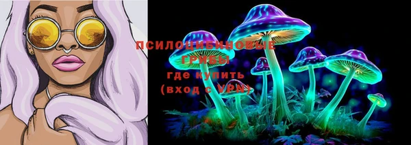 спайс Арсеньев
