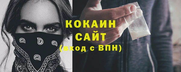 спайс Арсеньев