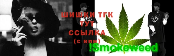 спайс Арсеньев