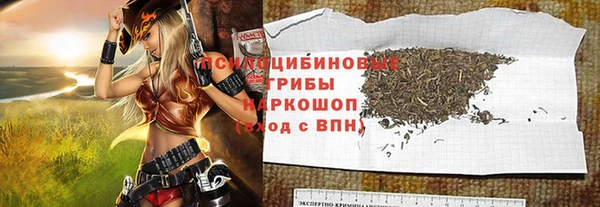 спайс Арсеньев