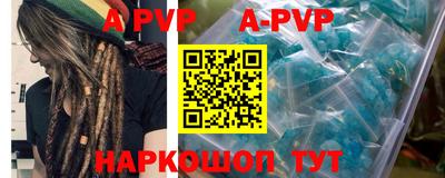 гашик Камышлов