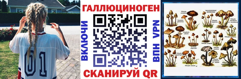 shop официальный сайт  Чебоксары  Галлюциногенные грибы Psilocybine cubensis 