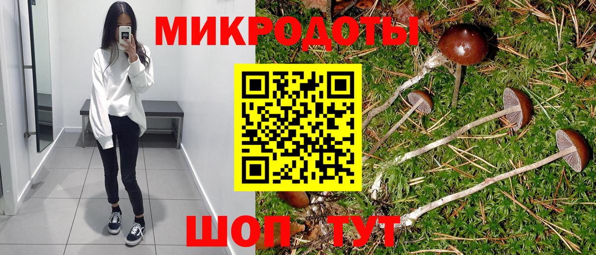 Псилоцибиновые грибы MAGIC MUSHROOMS Чебоксары