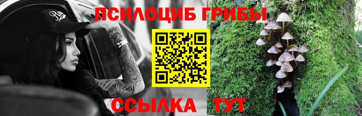 купить наркотики цена  Псилоцибиновые грибы мухоморы  Вход с VPN  Псилоцибиновые грибы прущие грибы  Чебоксары 